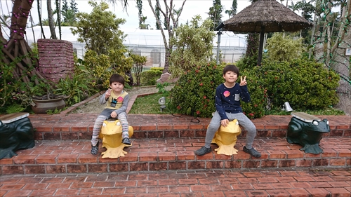 10日・東南植物楽園の光の散歩道！